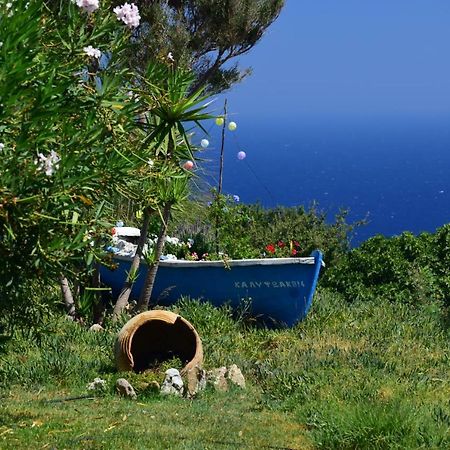 Appartement Panoramma Hause, Kampos Evdilou,Ikaria à Evdilos  Extérieur photo