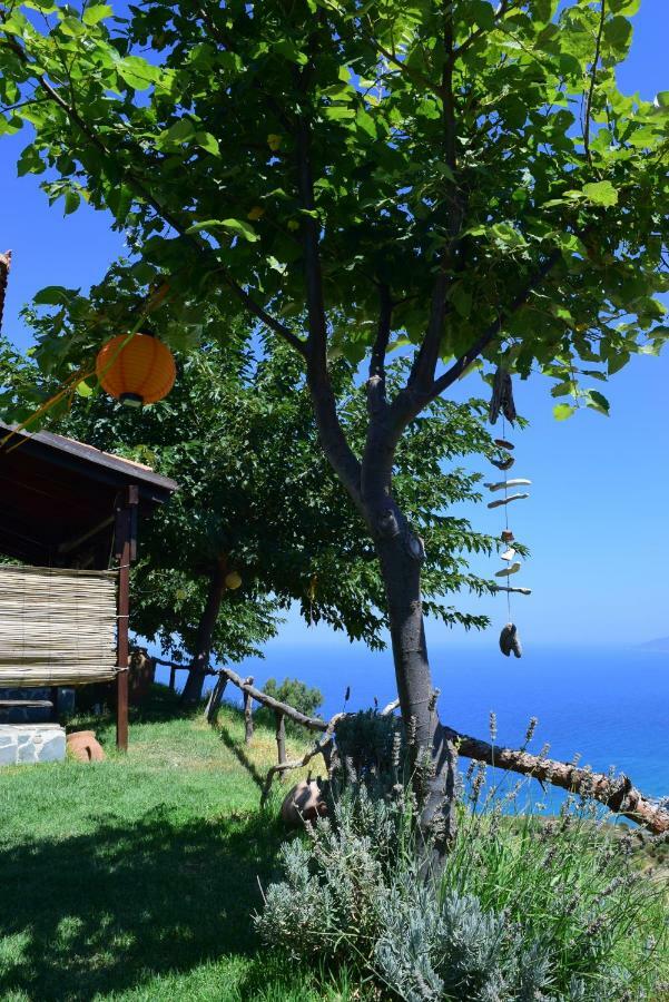 Appartement Panoramma Hause, Kampos Evdilou,Ikaria à Evdilos  Extérieur photo